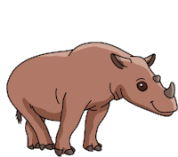 Gif animé rhinocéros regarde